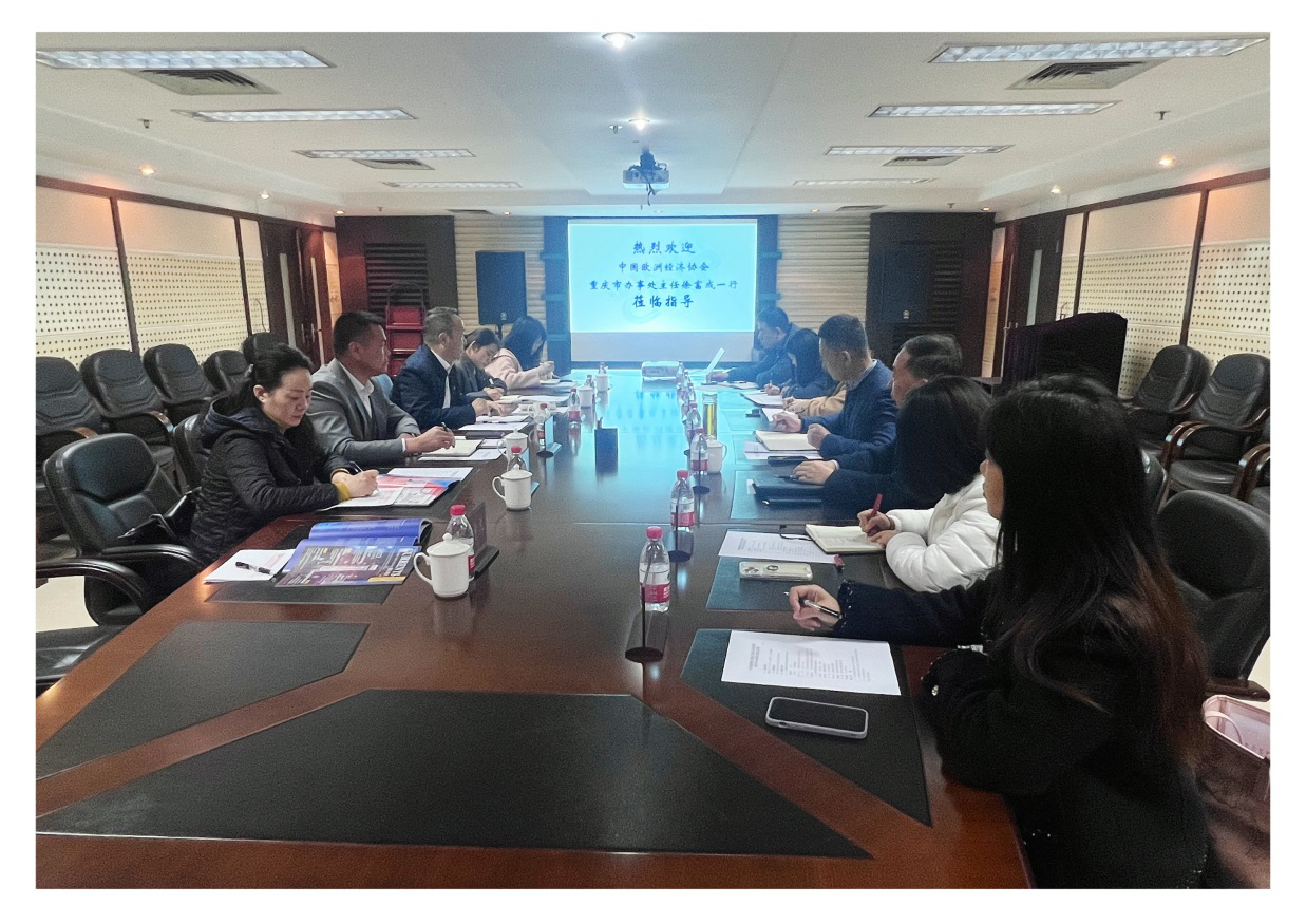 中国欧洲经济技术合作协会重庆市办事处徐富成主任带队来访中心座谈交流